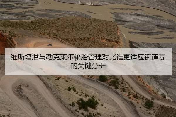 维斯塔潘与勒克莱尔轮胎管理对比谁更适应街道赛的关键分析