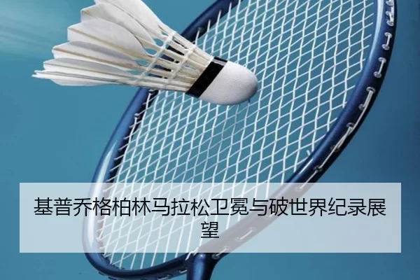 ji-pu-qiao-ge-bo-lin-ma-la-song-wei-mian-yu-po-shi-jie-ji-lu-zhan-wang-2-687.jpg