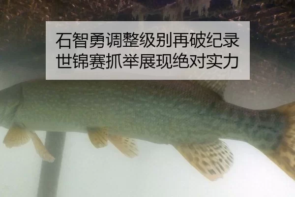 shi-zhi-yong-tiao-zheng-ji-bie-zai-po-ji-lu-shi-jin-sai-zhua-ju-zhan-xian-jue-dui-shi-li-3-995.jpg