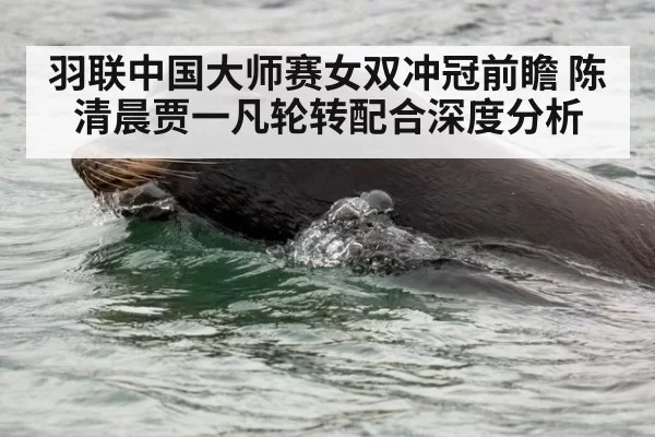 羽联中国大师赛女双冲冠前瞻 陈清晨贾一凡轮转配合深度分析
